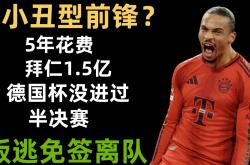 九游官网app-分析：拜仁慕尼黑-大胜布鲁日，晋级希望大增的简单介绍