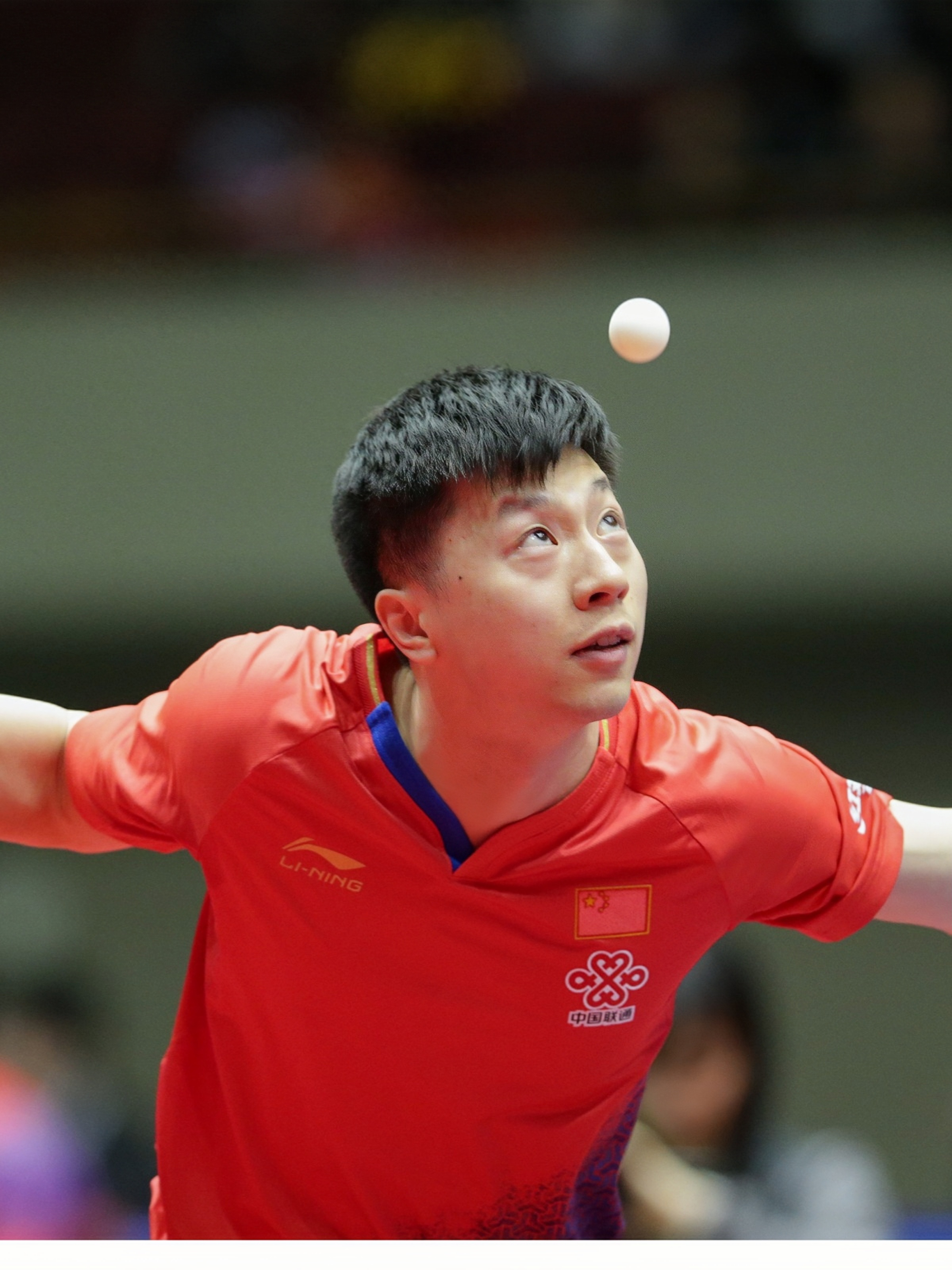 关于澳门男篮战胜实力对手,殊为不易的信息 关于澳门男篮战胜实力对手,殊为不易的信息